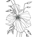 Artifice